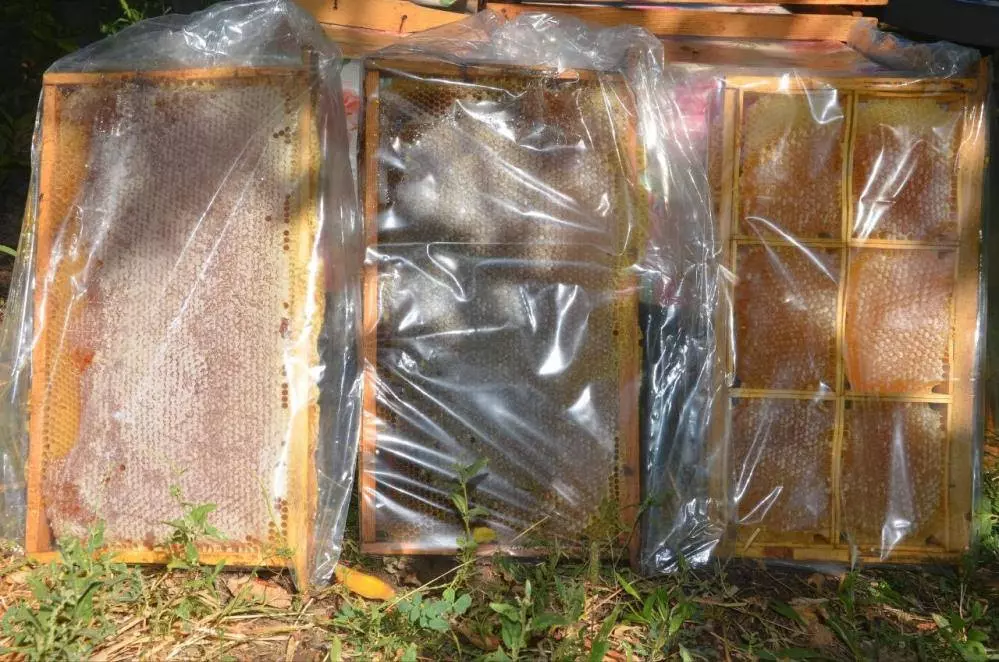 Malatya’da Bal Hasadı Başladı Fiyatlar Açıklandı2