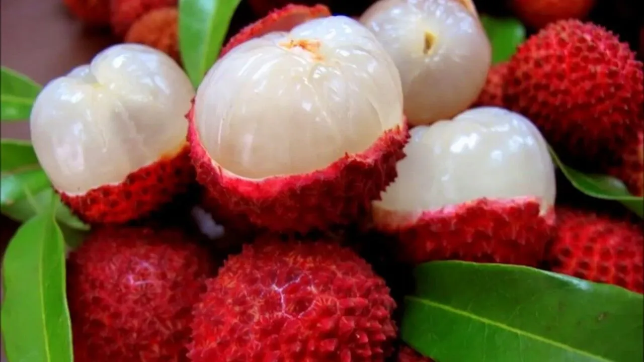 Mersin’in Yükselen Trendi Tropikal Meyveler7