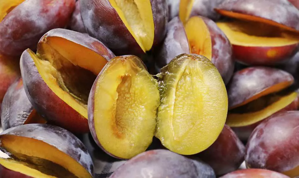 Murdum Erigi Kac Kalori 1