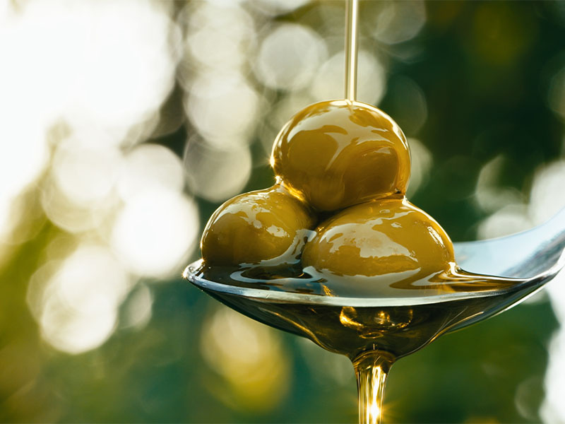 Osmaniye’de Mevsimlik Kırma Yeşil Zeytin Hazırlamanın 5 Püf Noktası (3)