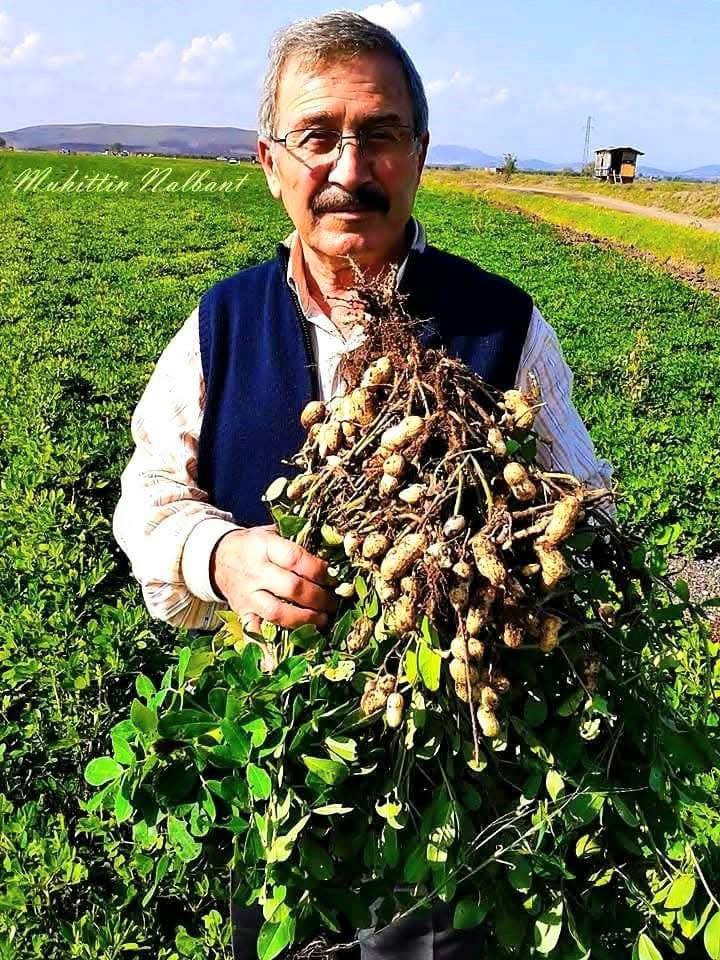 Osmaniye’den Yeni Lezzet Fıstık Kebabı2