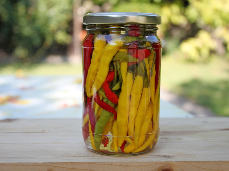 Osmaniyeliler İçin Bamya Konservesi Yapmanın 4 Püf Noktası3