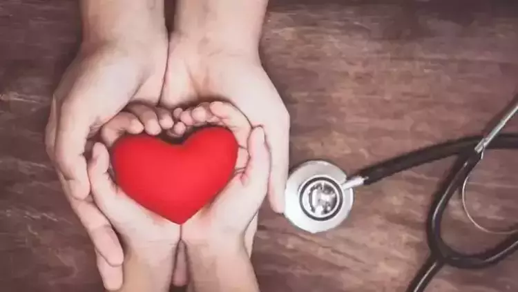 Osmaniyeliler İçin Kalp Dostu Alıç Yaprağı Rehberi2