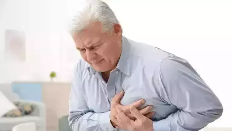 Osmaniyeliler İçin Kalp Dostu Alıç Yaprağı Rehberi8