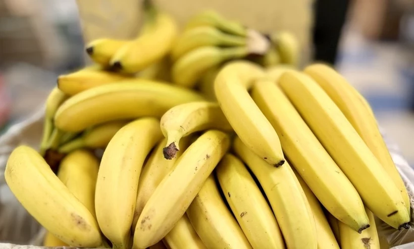 Osmaniyeliler İçin Meyve Ve Sebze Saklama Rehberi9