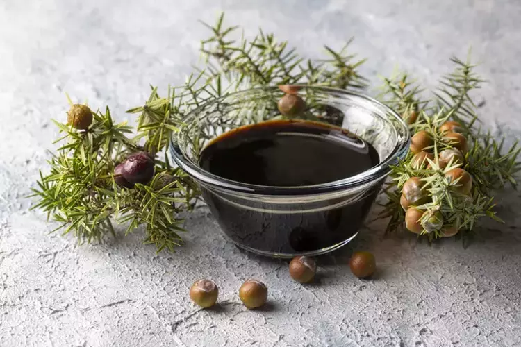 Osmaniyeliler İçin Şifa Deposu Pekmez Zencefil4