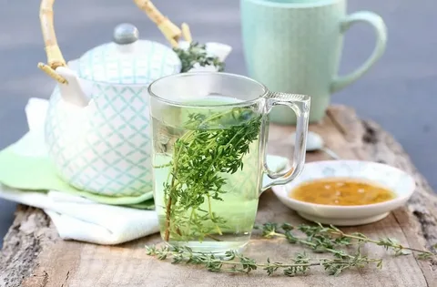 Osmaniyeliler Kekik Çayıyla Sağlıklı Yaşama Destek Buluyor3