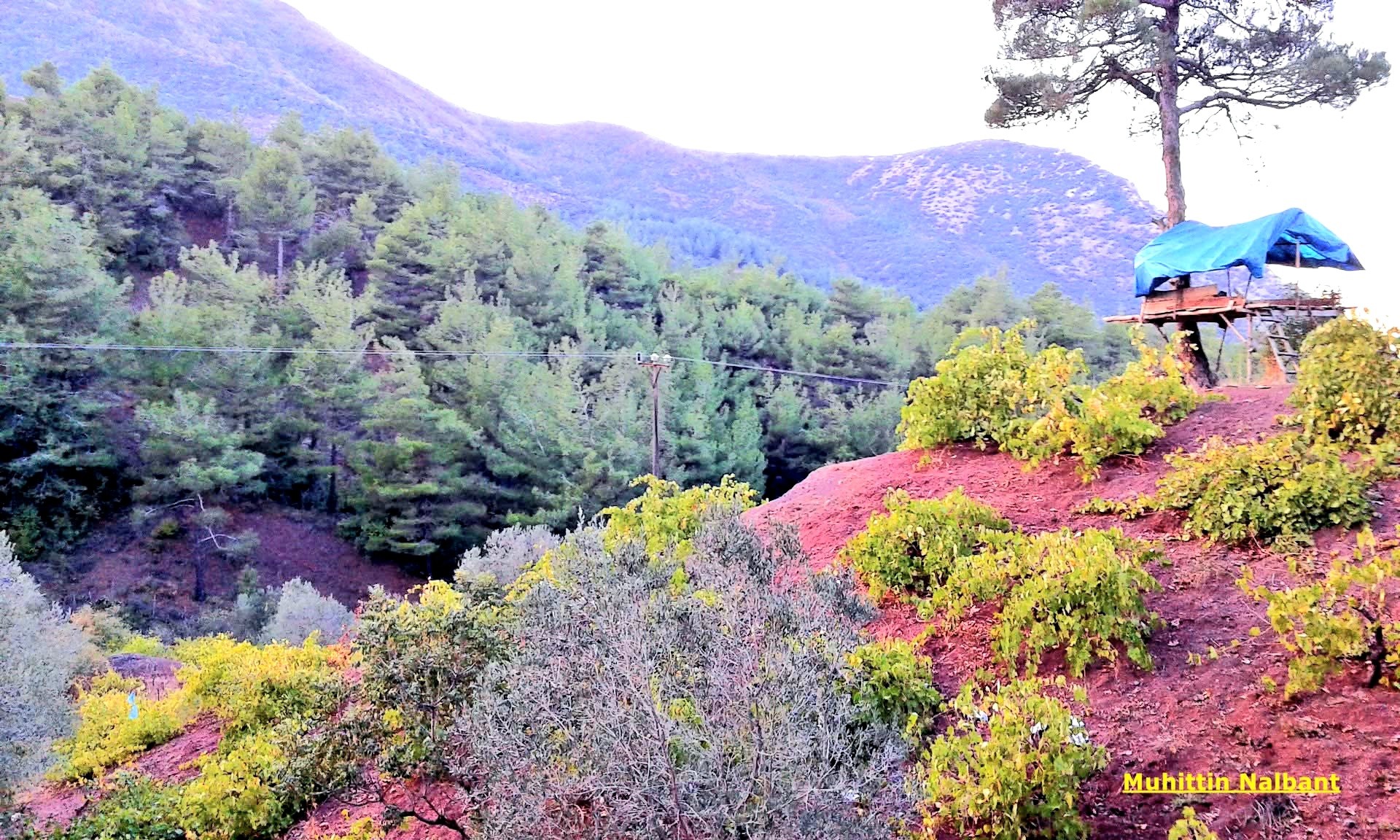 Osmaniye’nin Saklı Güzelliği Kaypak Köyü6
