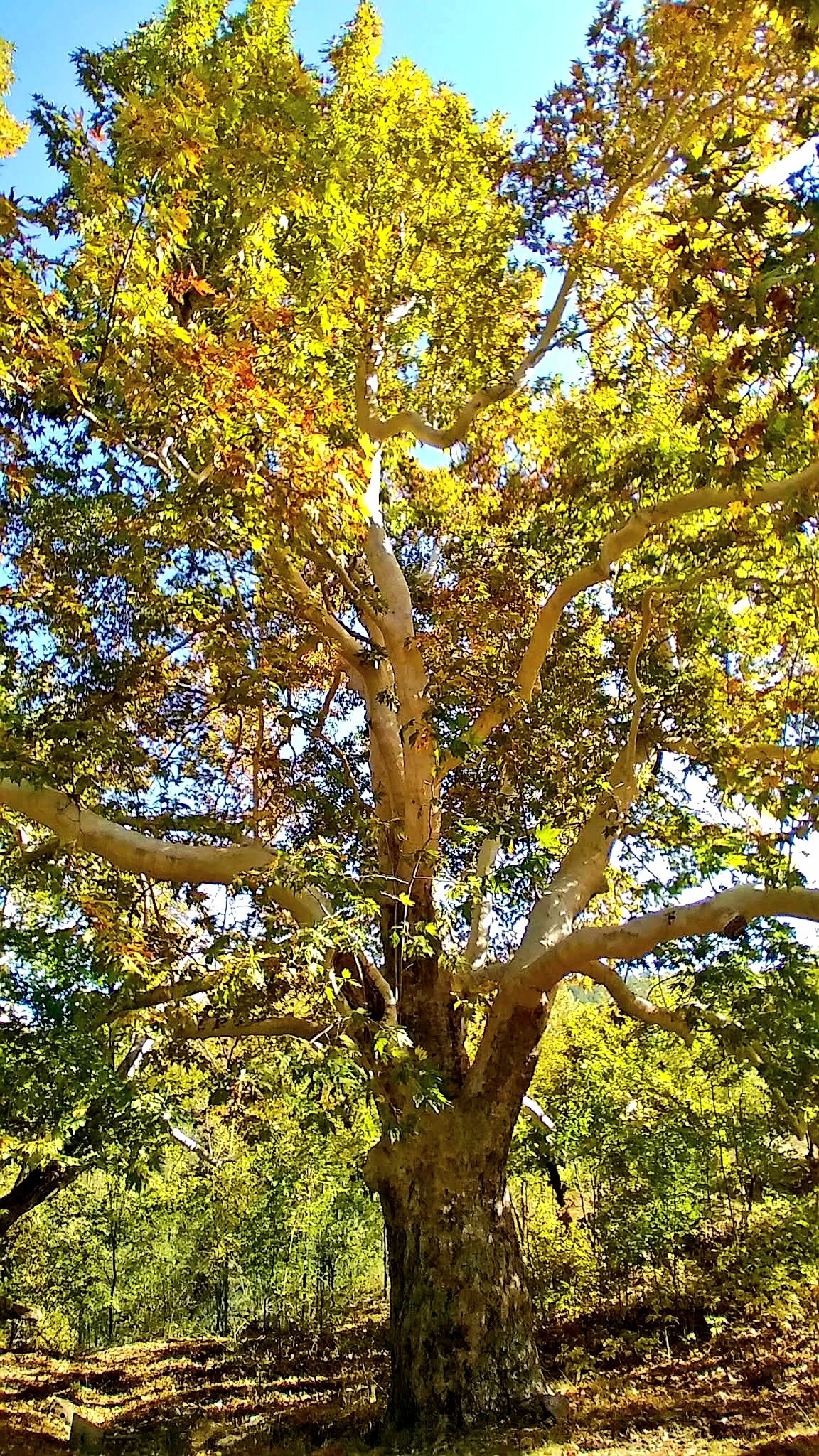 Osmaniye’nin Saklı Güzelliği Kaypak Köyü7