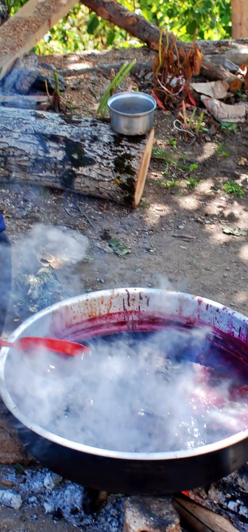 Osmaniye’nin Şifa Kaynağı Adese Üzümü3