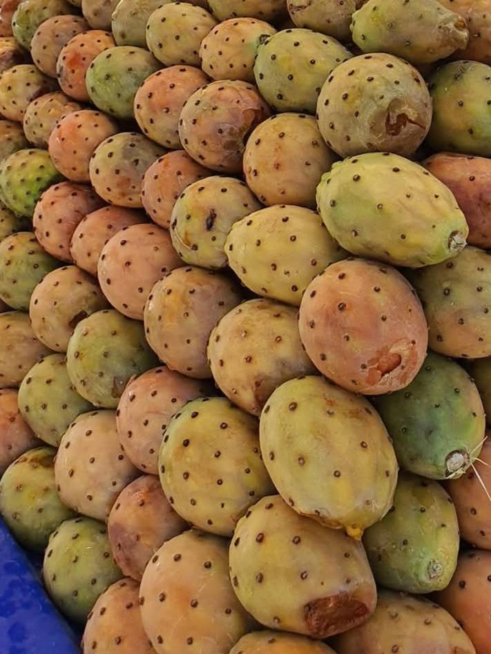 Pabuç İnciri Balkonlarda Doğal Lezzet4