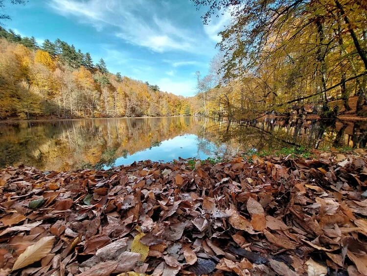 Saatler 2025’Te Geri Alınacak Mı Kış Saati Açıklaması5