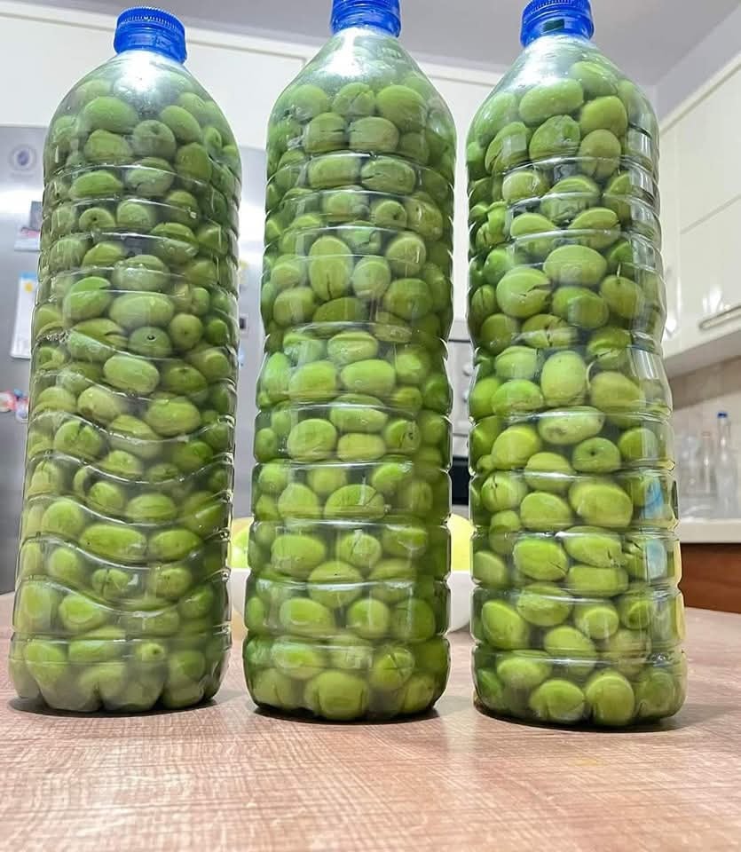 Sofralık Frik Zeytin Hasadı Ve Kışlık Hazırlıklar3