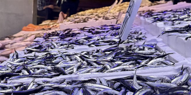 Trabzon’da Hamsi 100 Tl’den Tezgâhta2