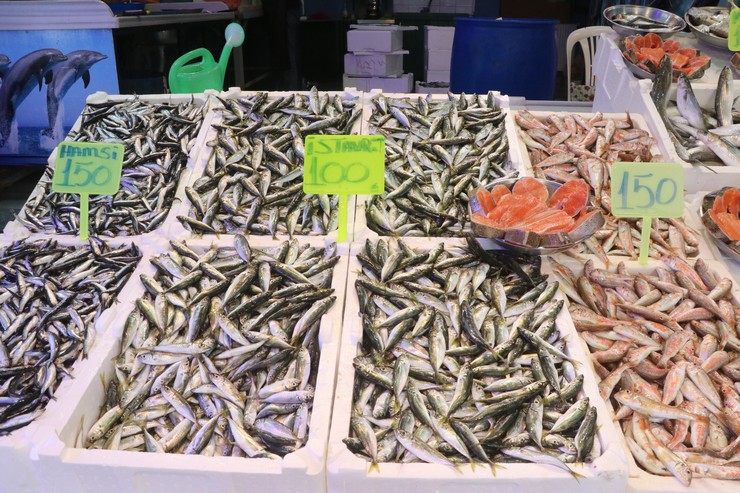 Trabzon’da Hamsi 100 Tl’den Tezgâhta3