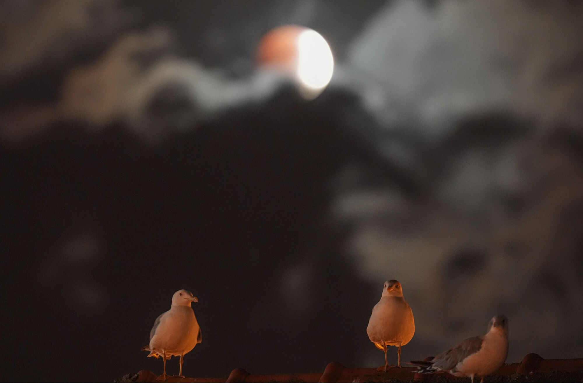 Türkiye’yi Saran Kanlı Ay Tutulması8