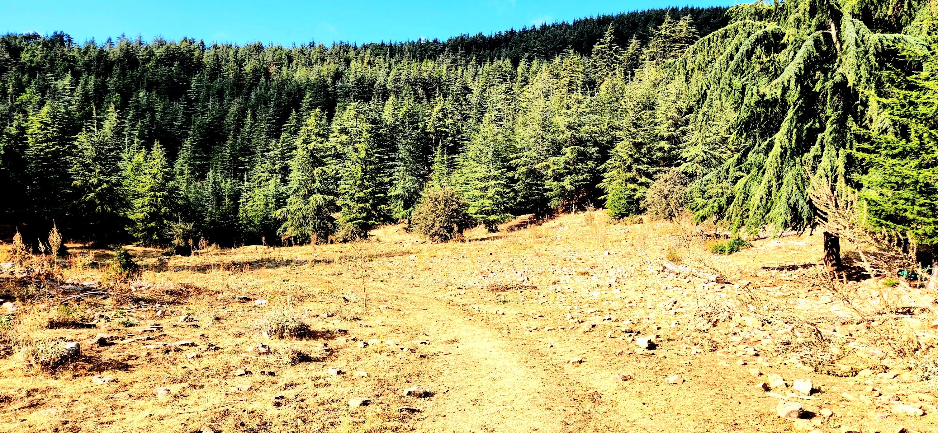 Yarpuz'un Doğası Objektiflere Yansıdı (1)