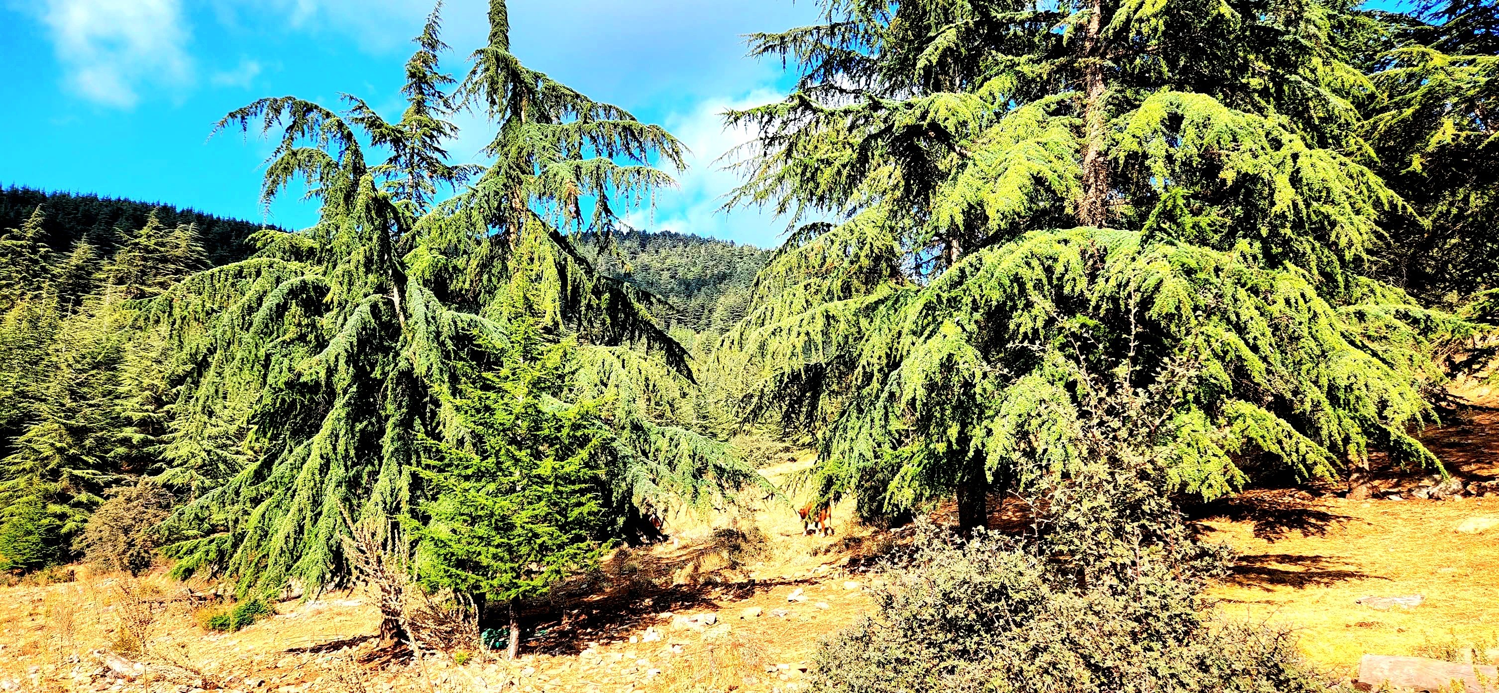 Yarpuz'un Doğası Objektiflere Yansıdı (5)