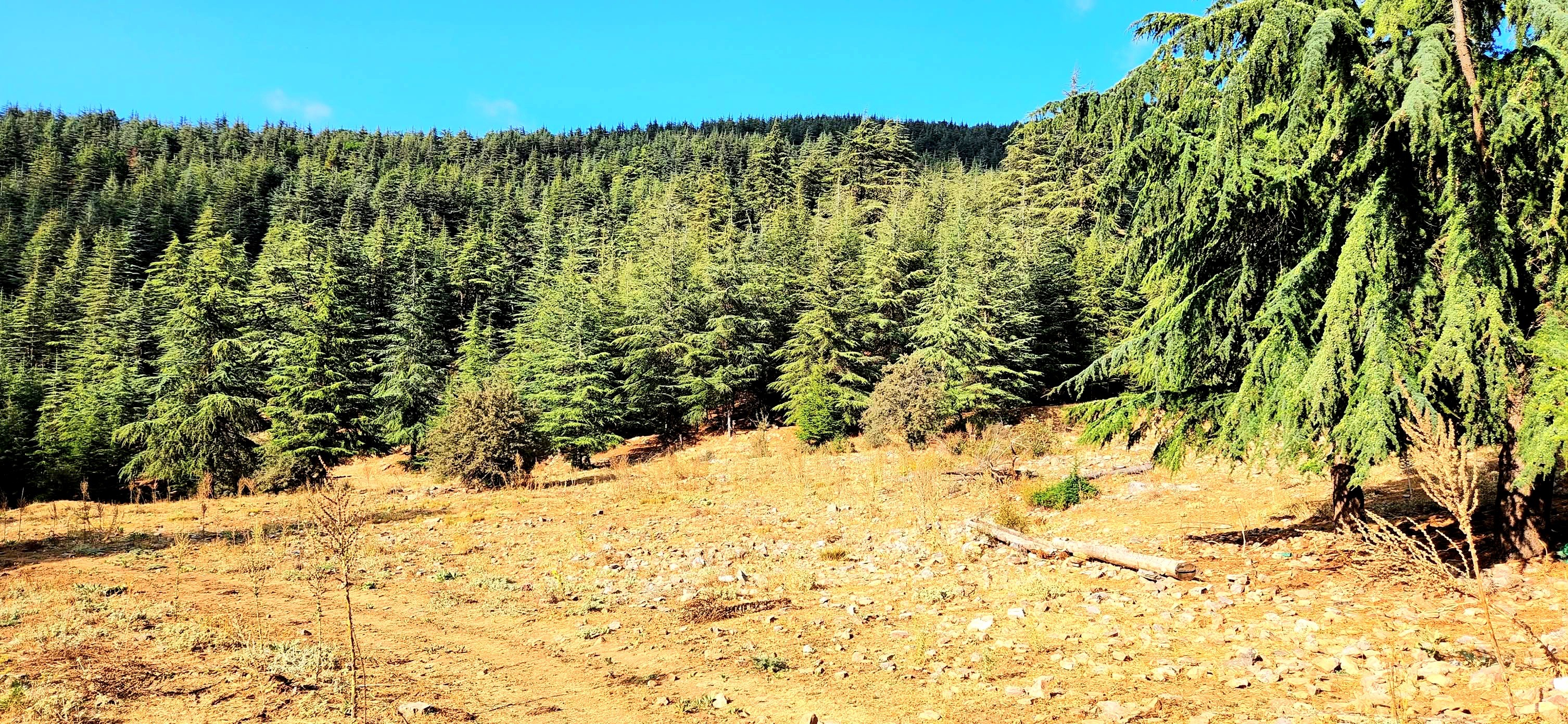 Yarpuz'un Doğası Objektiflere Yansıdı (7)