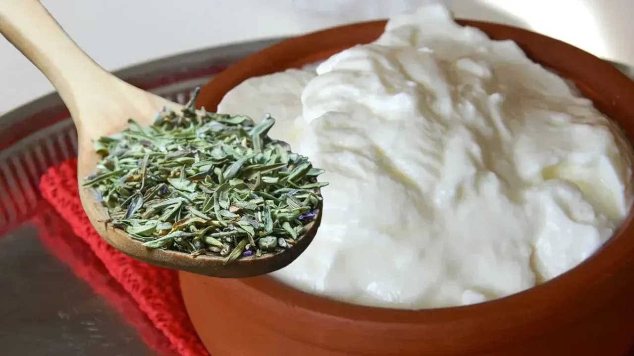 Yoğurt Kekik