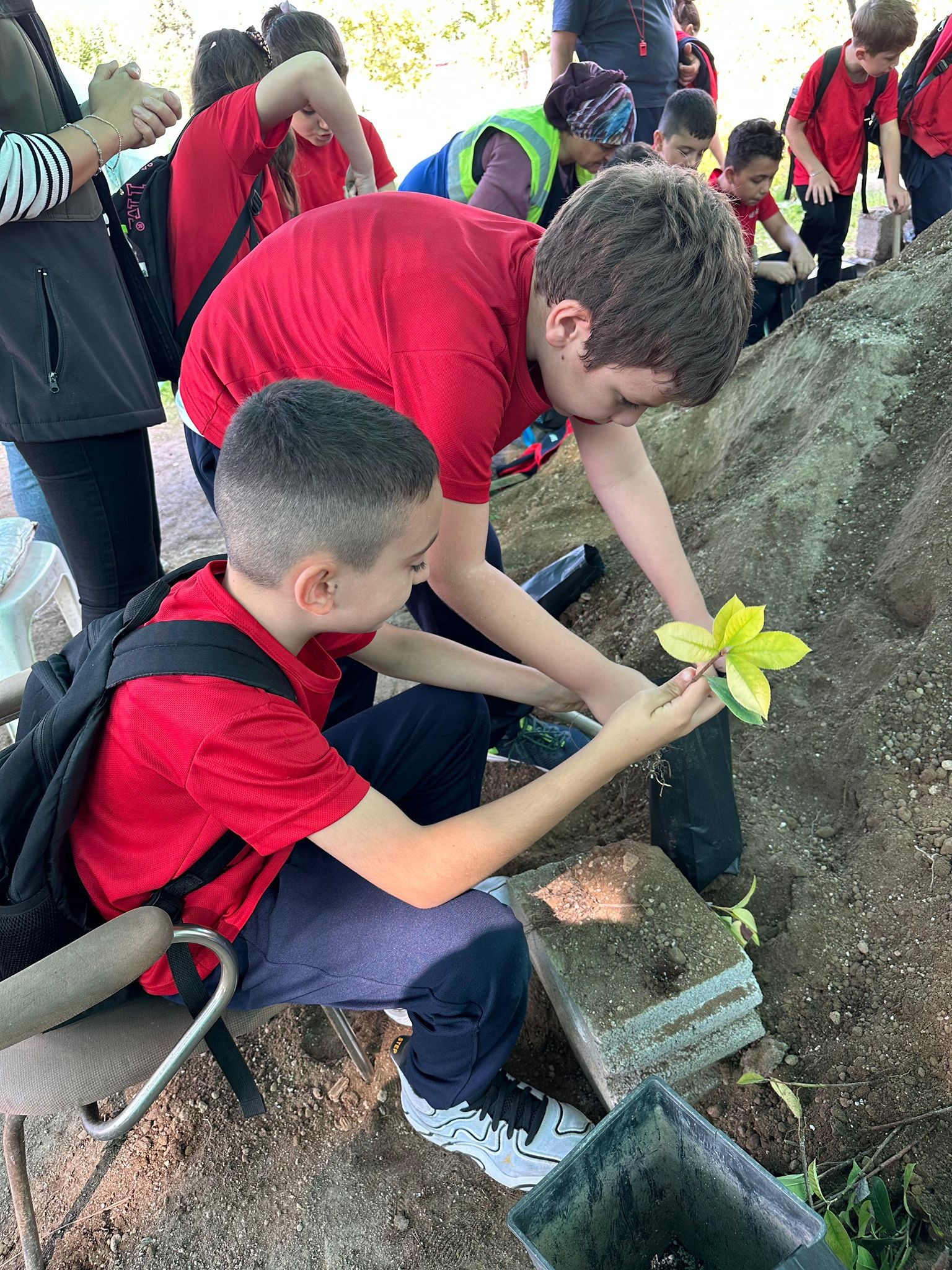 Zonguldak’ta Minik Eller Geleceğe Fidan Dikti4