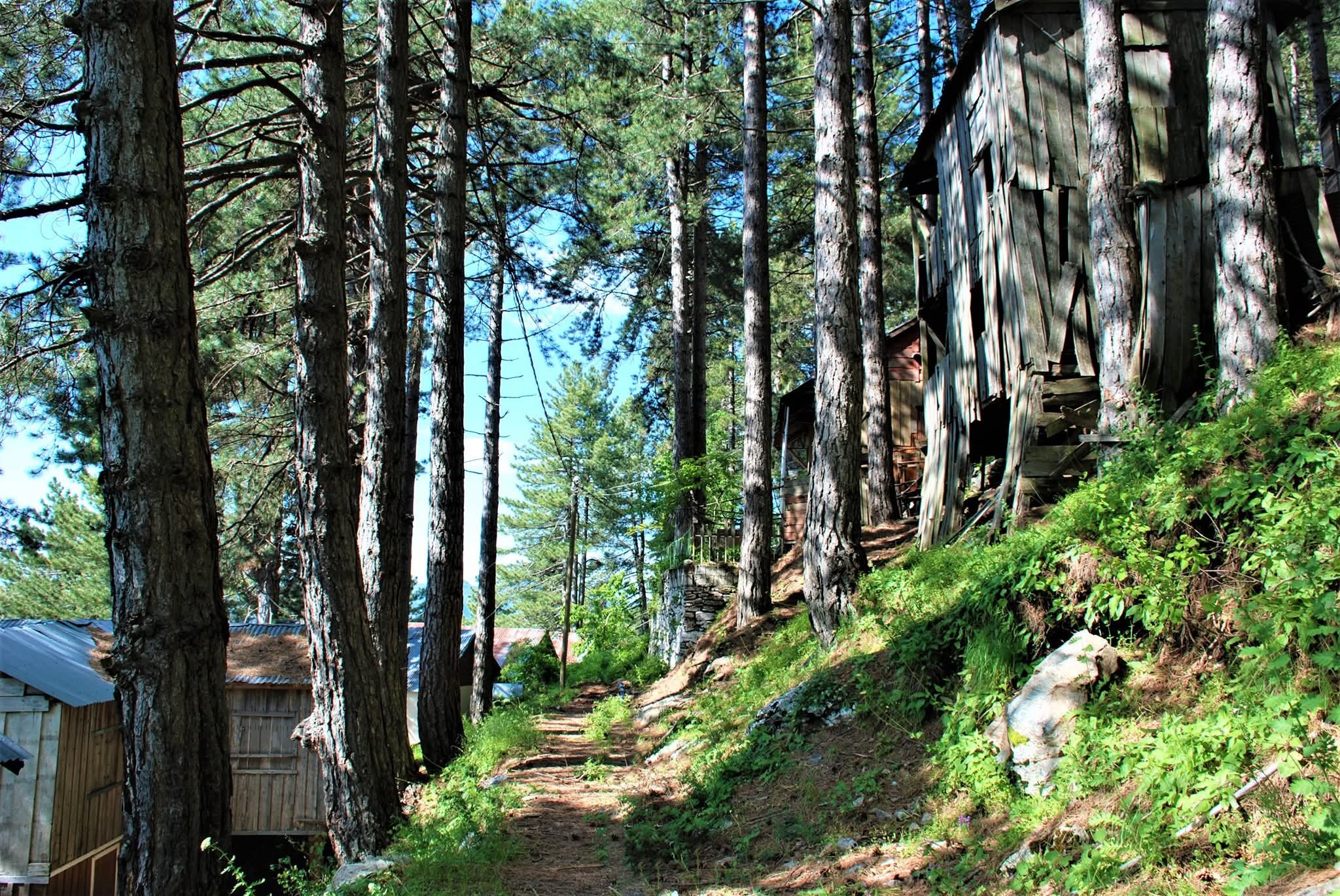 Zorkun Yaylası Hatıralarla Dolu Ark Yolunda Yolculuk2