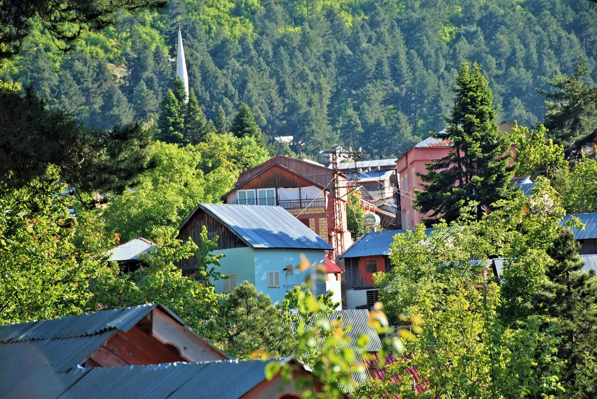 Zorkun Yaylası Hatıralarla Dolu Ark Yolunda Yolculuk3