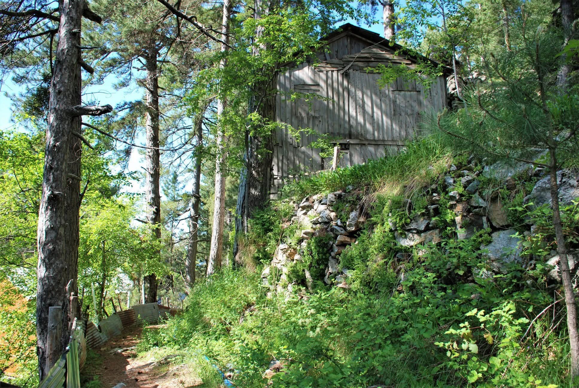 Zorkun Yaylası Hatıralarla Dolu Ark Yolunda Yolculuk4