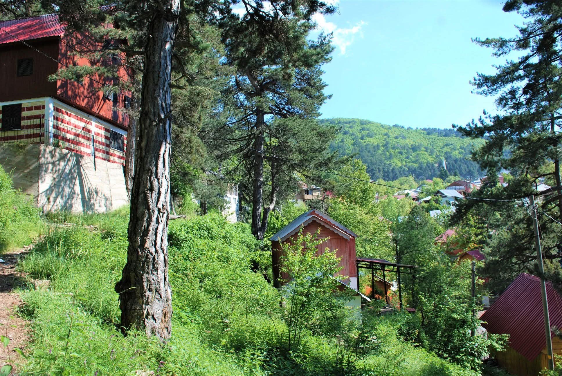 Zorkun Yaylası Hatıralarla Dolu Ark Yolunda Yolculuk5