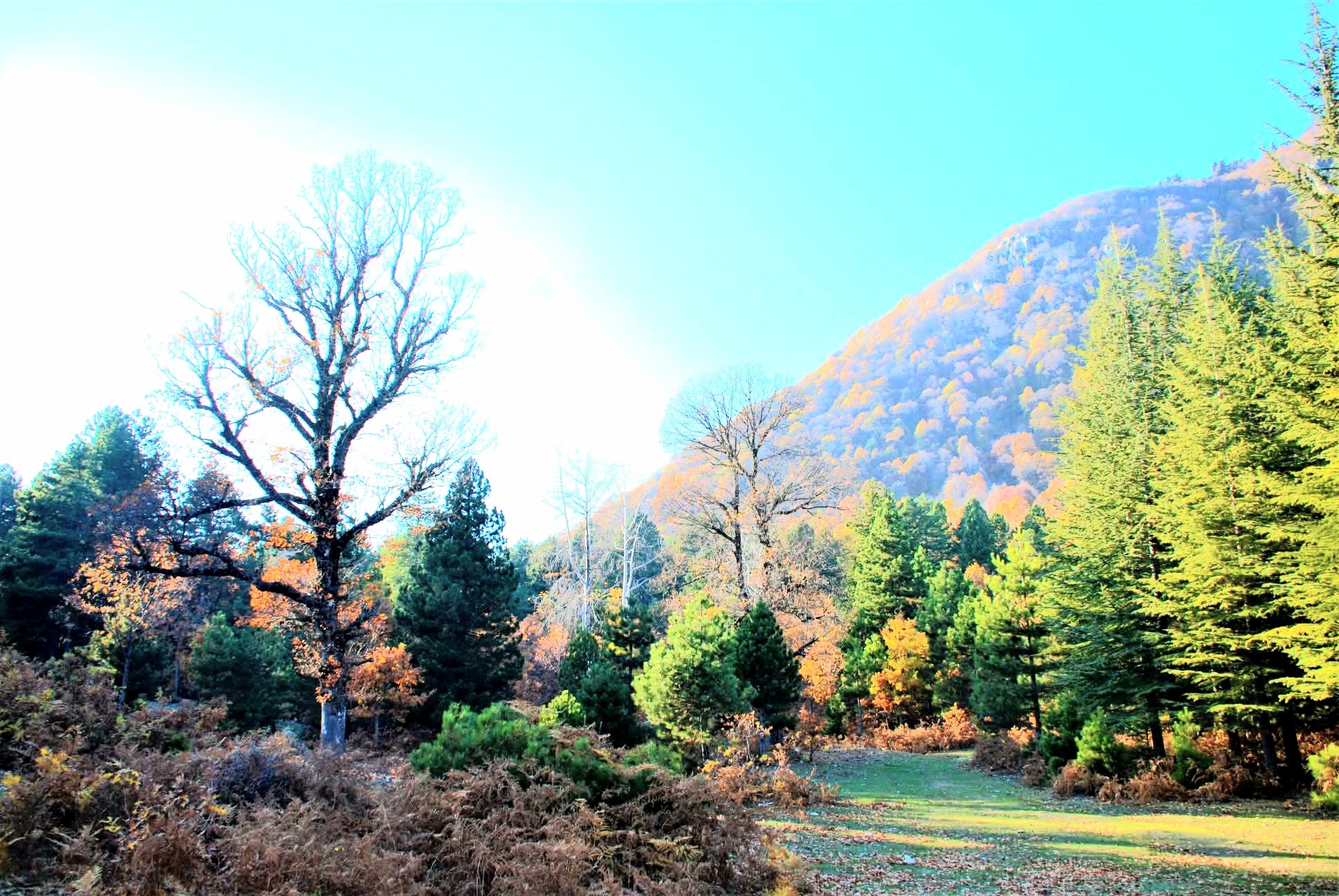 Zorkun Yaylası’nda Çevre Için Seferberlik2