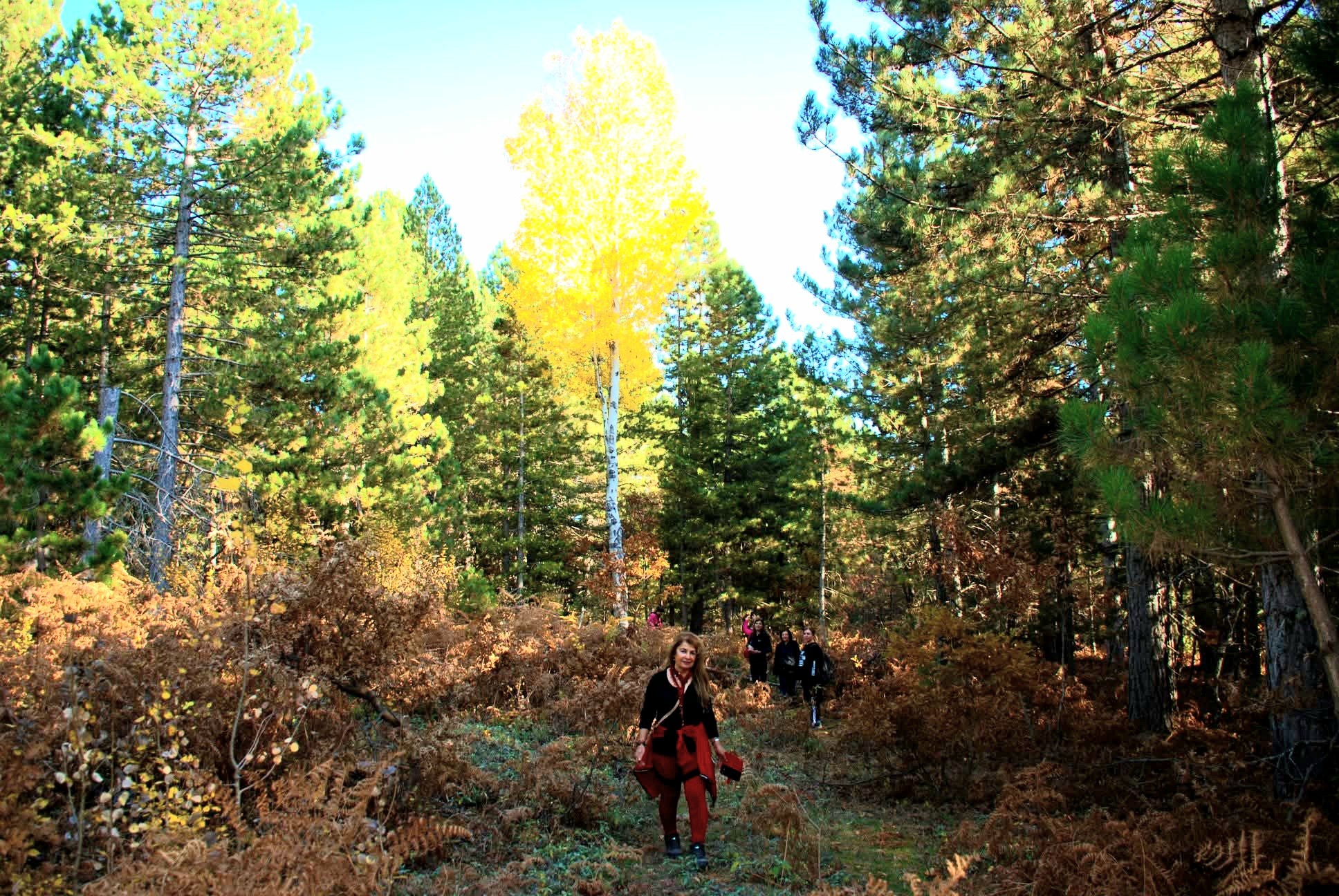 Zorkun Yaylası’nda Çevre Için Seferberlik3