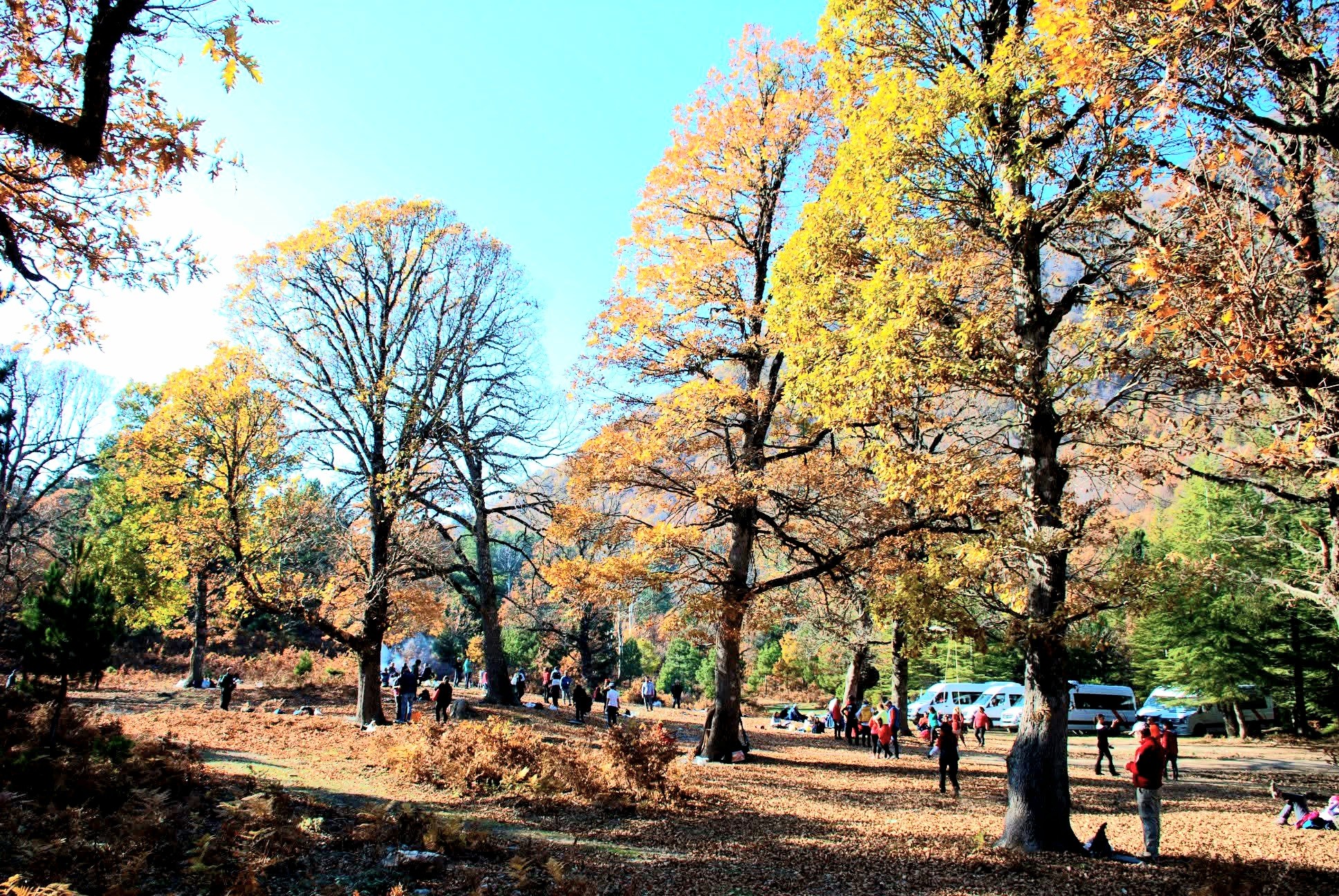 Zorkun Yaylası’nda Çevre Için Seferberlik4