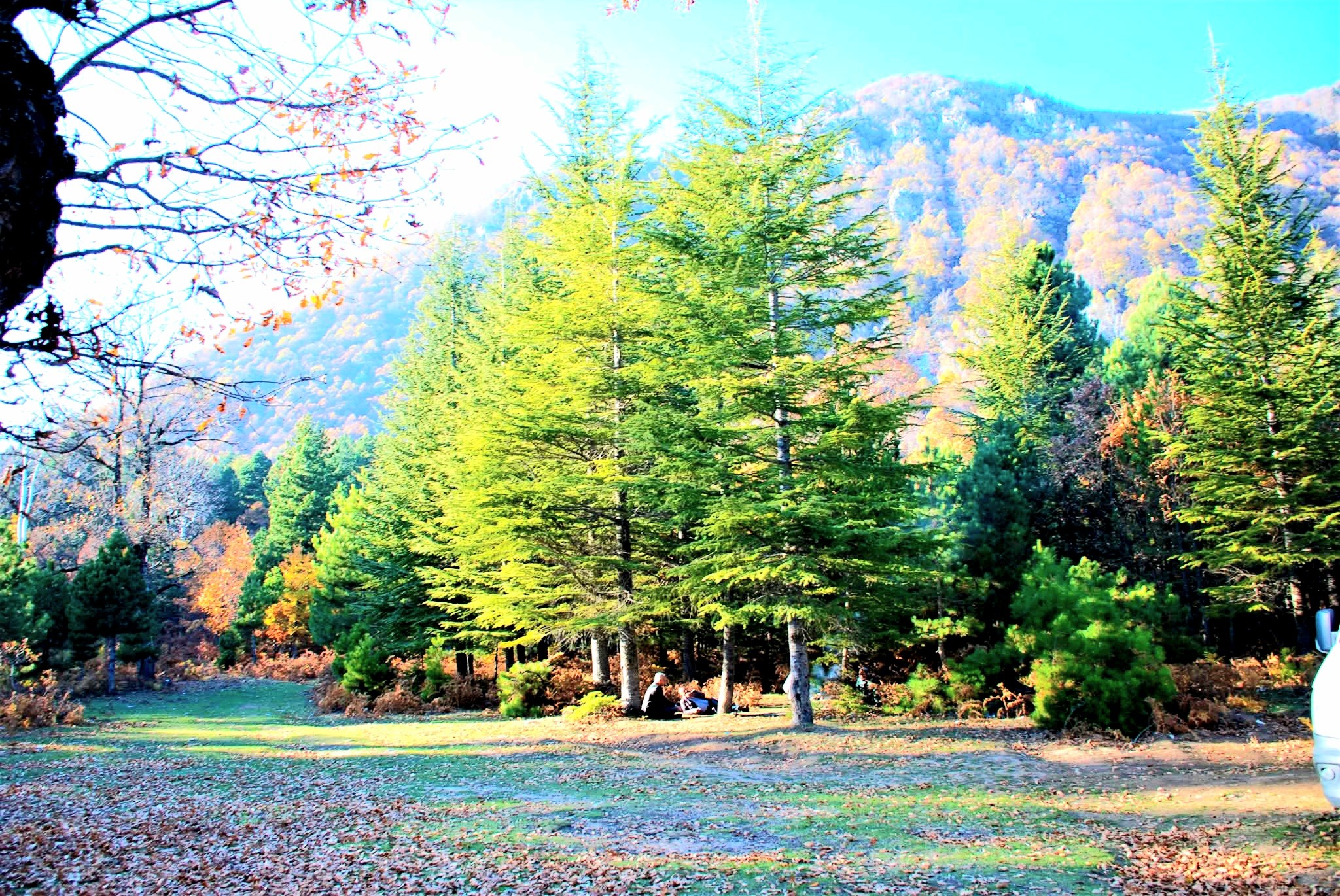 Zorkun Yaylası’nda Çevre Için Seferberlik5