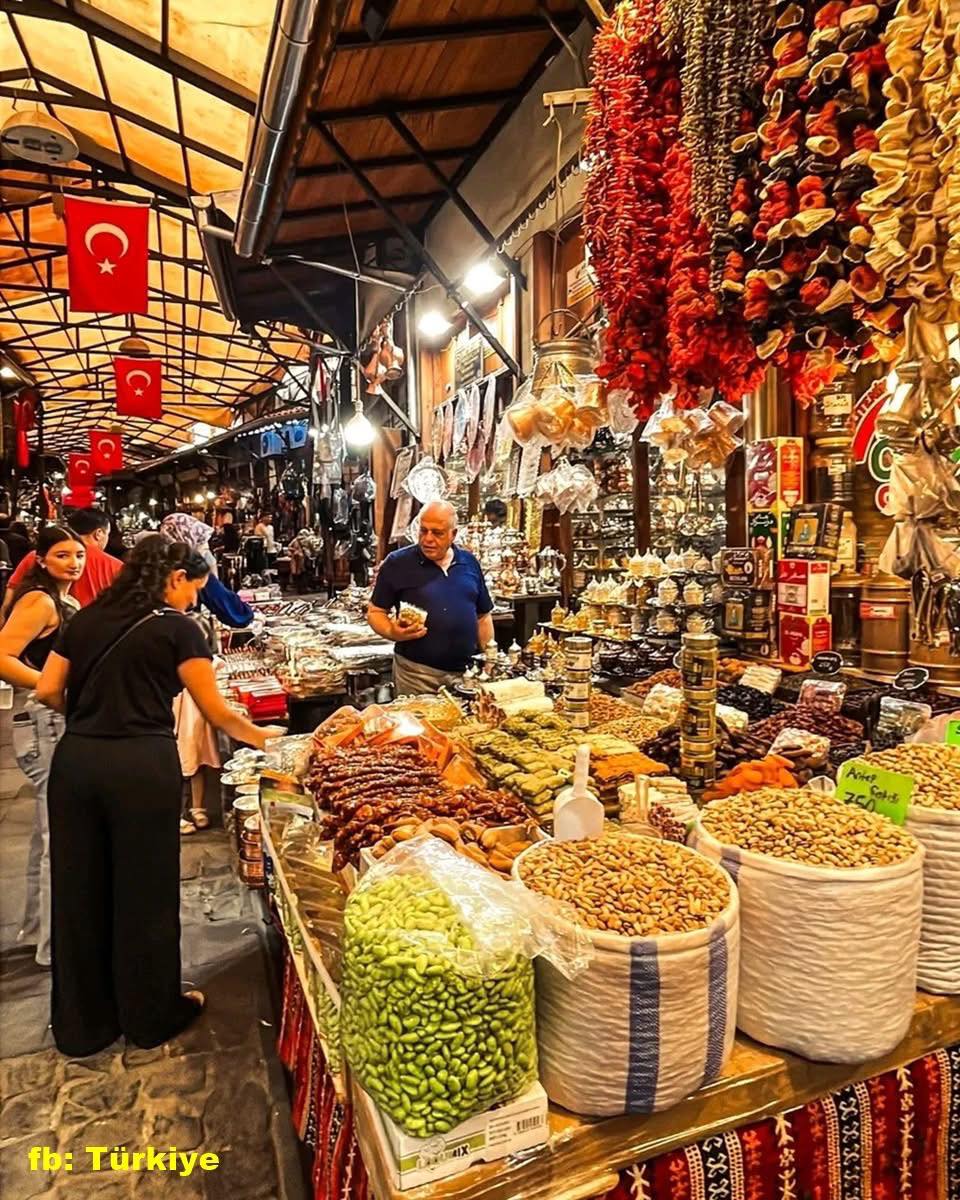 558144518 800796709227632 6534657041081761382 N