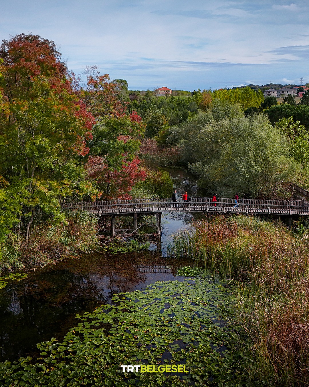 Acarlar Longozu Sonbaharın Renkleriyle Büyülüyor8