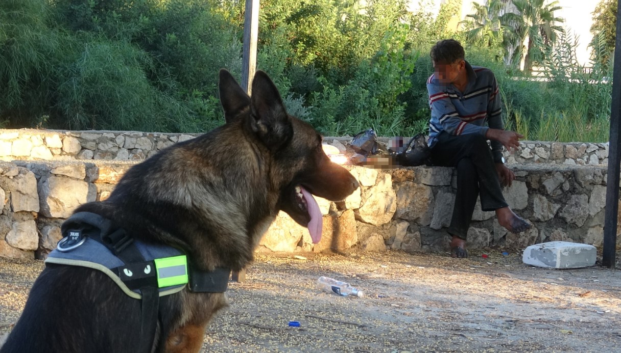 Alkollü Adam Su Kanalına Düştü, Köpeği Sayesinde Kurtuldu3