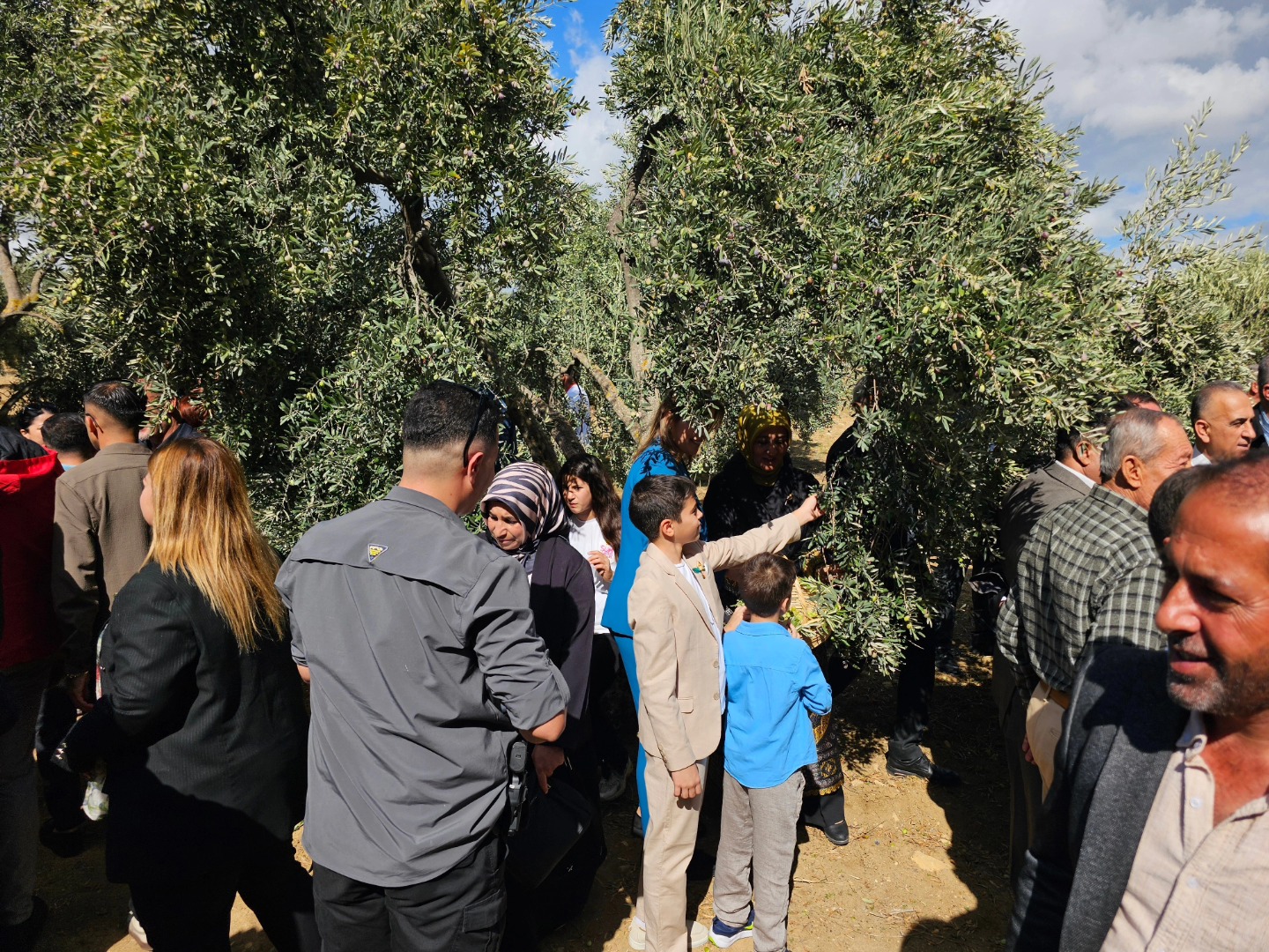 Altınözü’nde 9. Zeytin Festivali Coşkuyla Başladı2