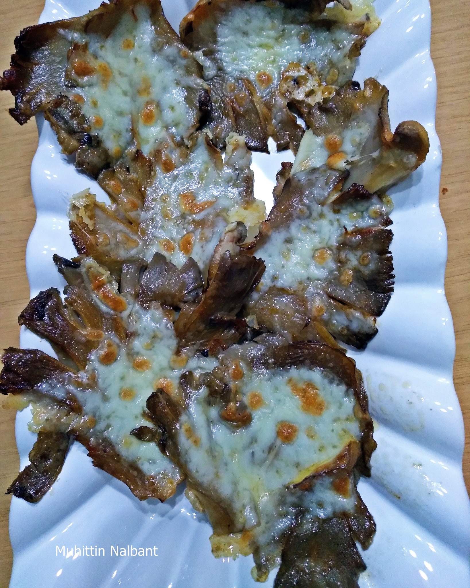 Amanos Dağlarında Mantar Zamanı Toplamaya Çıkın5