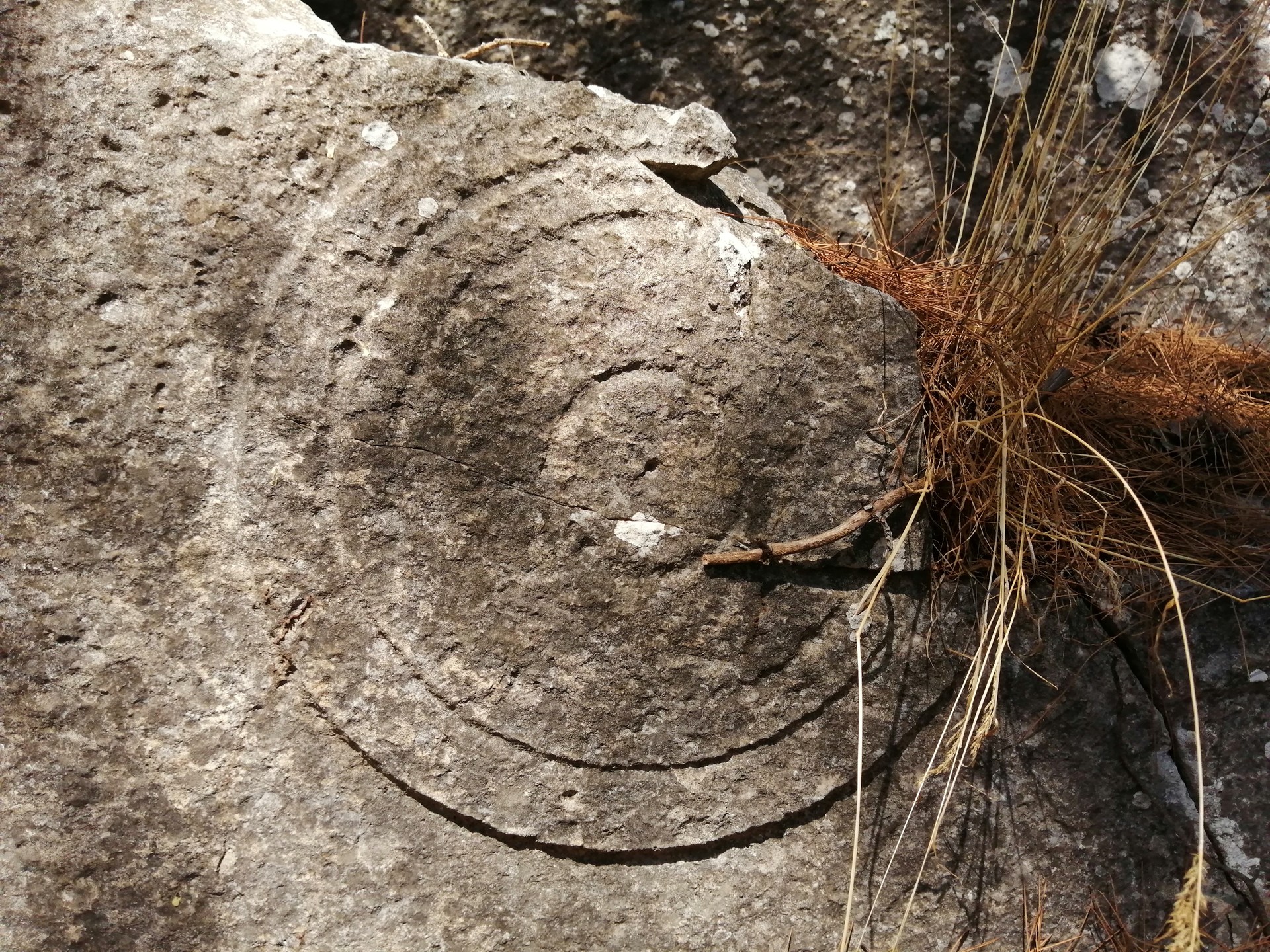 Antalya Konyaaltı’nda Tarihe Tanıklık Eden Kelbessos8