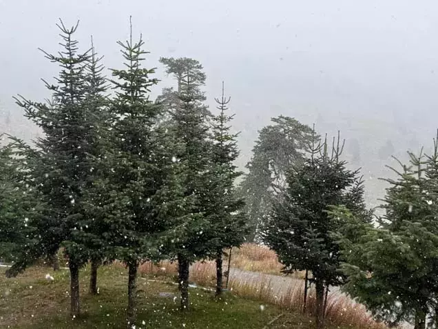 Bolu Uludağ Bozdağ Ve Kaş’ta Mevsimin İlk Karı Yağdı2