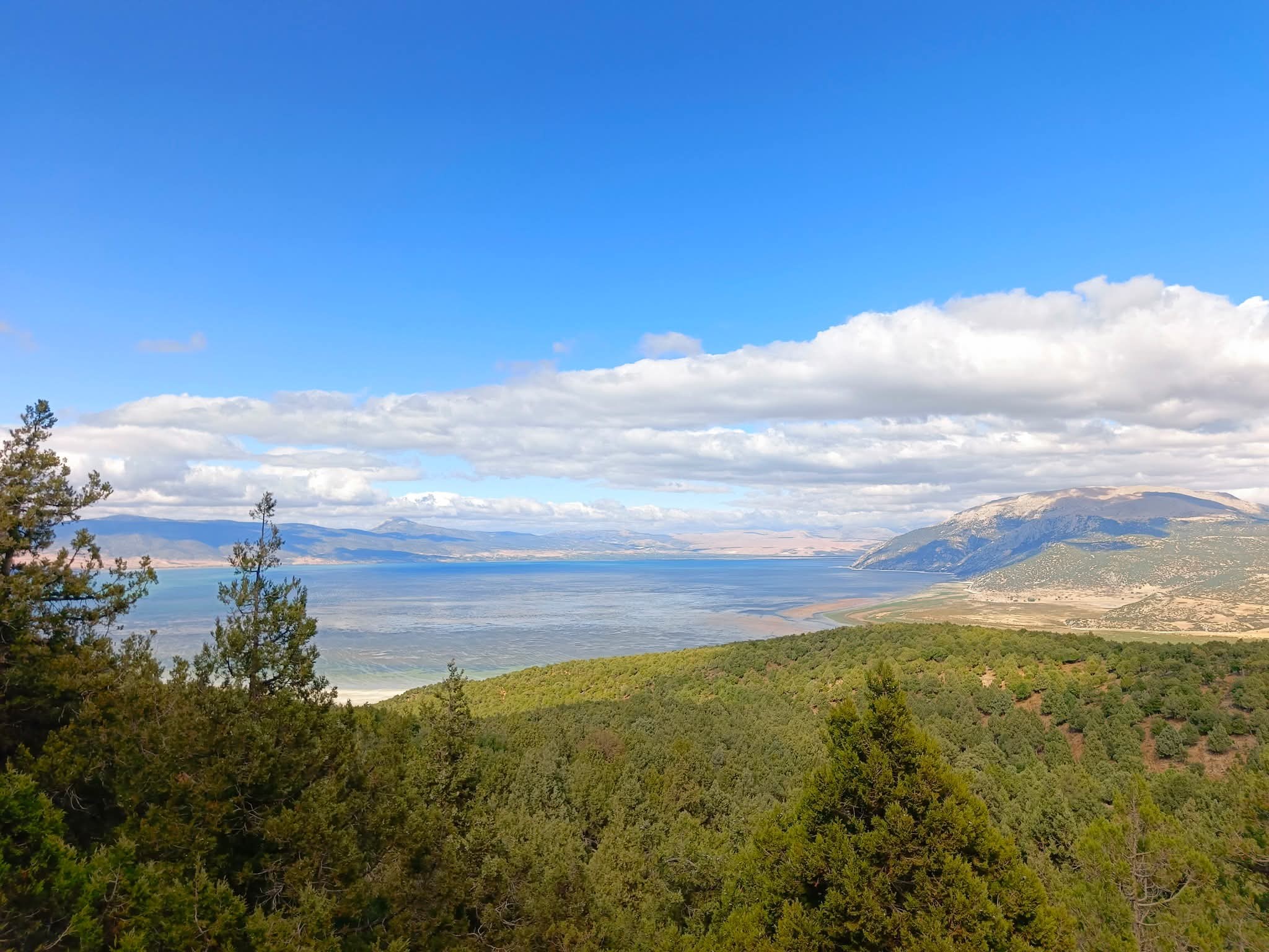 Çam Dağı Doğa Ve Anayasal Haklar Çerçevesinde Korunuyor11