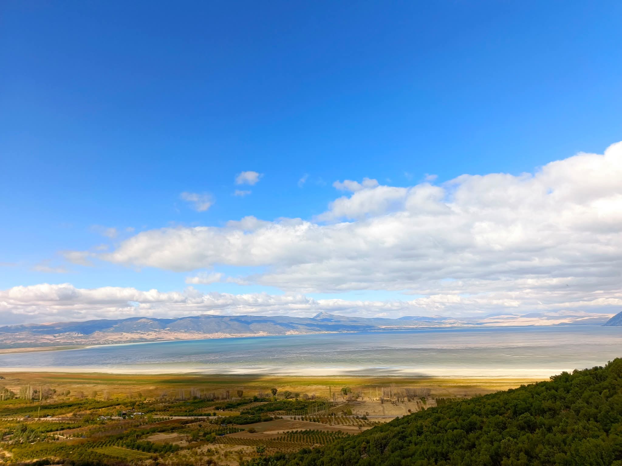Çam Dağı Doğa Ve Anayasal Haklar Çerçevesinde Korunuyor13
