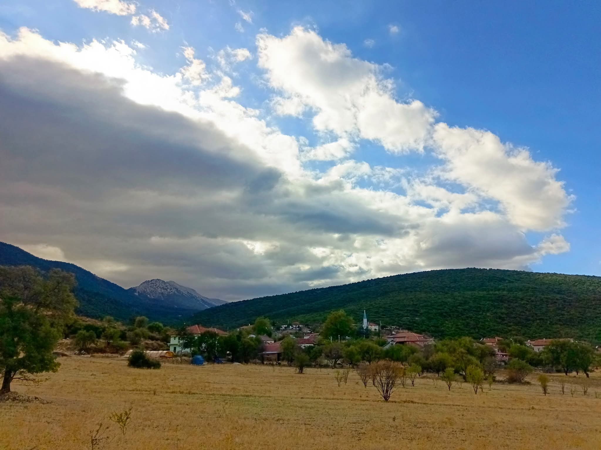 Çam Dağı Doğa Ve Anayasal Haklar Çerçevesinde Korunuyor14