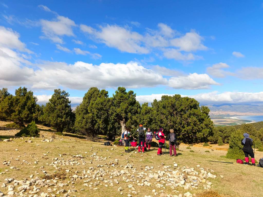 Çam Dağı Doğa Ve Anayasal Haklar Çerçevesinde Korunuyor4