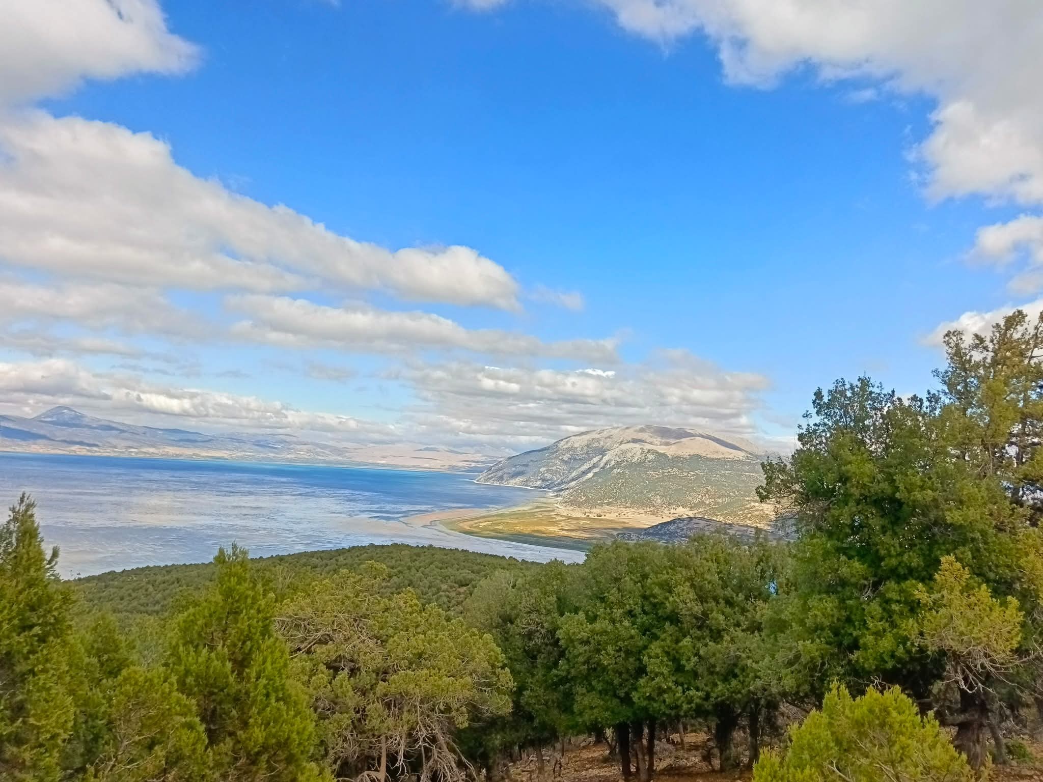 Çam Dağı Doğa Ve Anayasal Haklar Çerçevesinde Korunuyor6