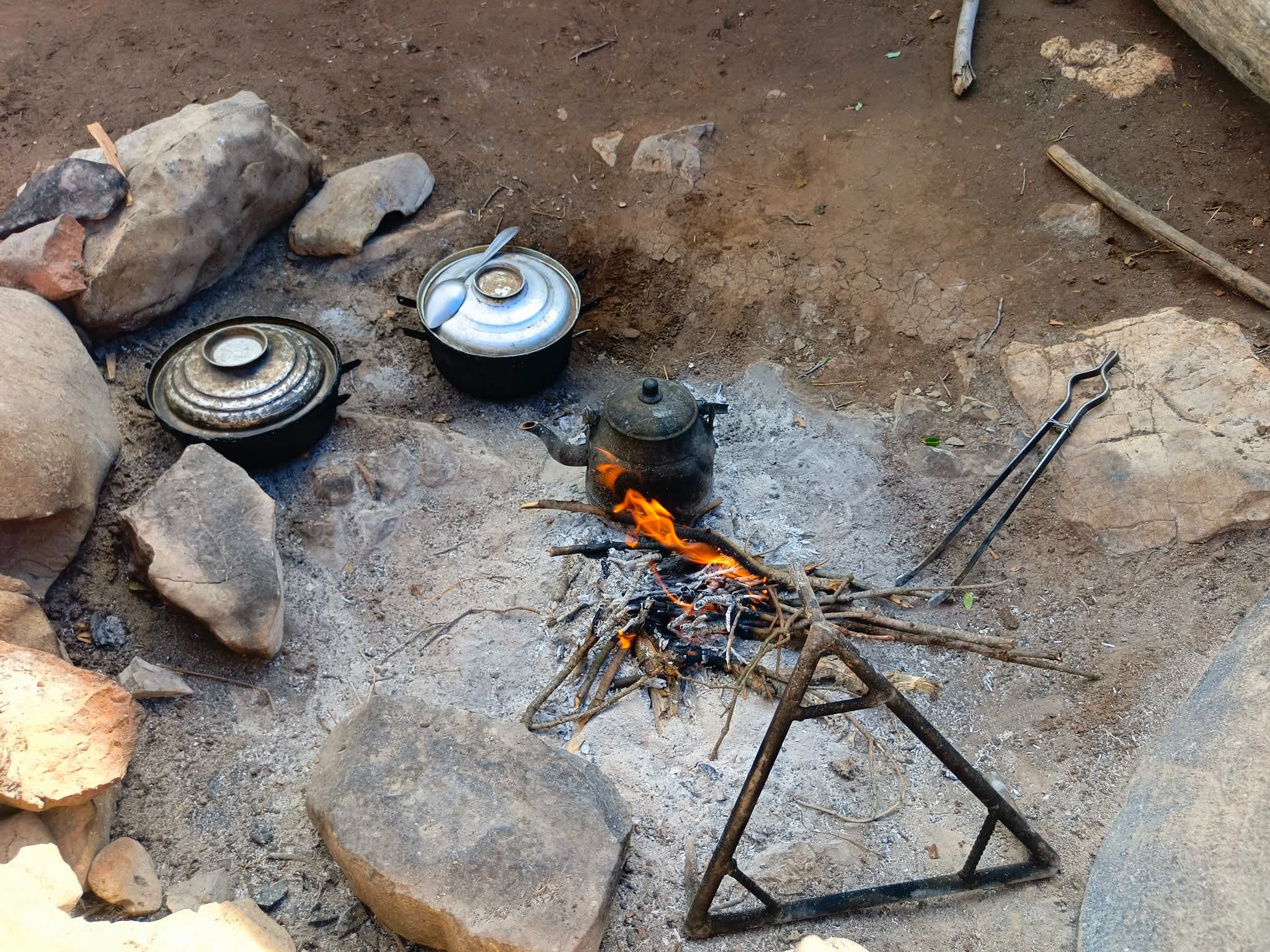 Çam Dağı Doğa Ve Anayasal Haklar Çerçevesinde Korunuyor8