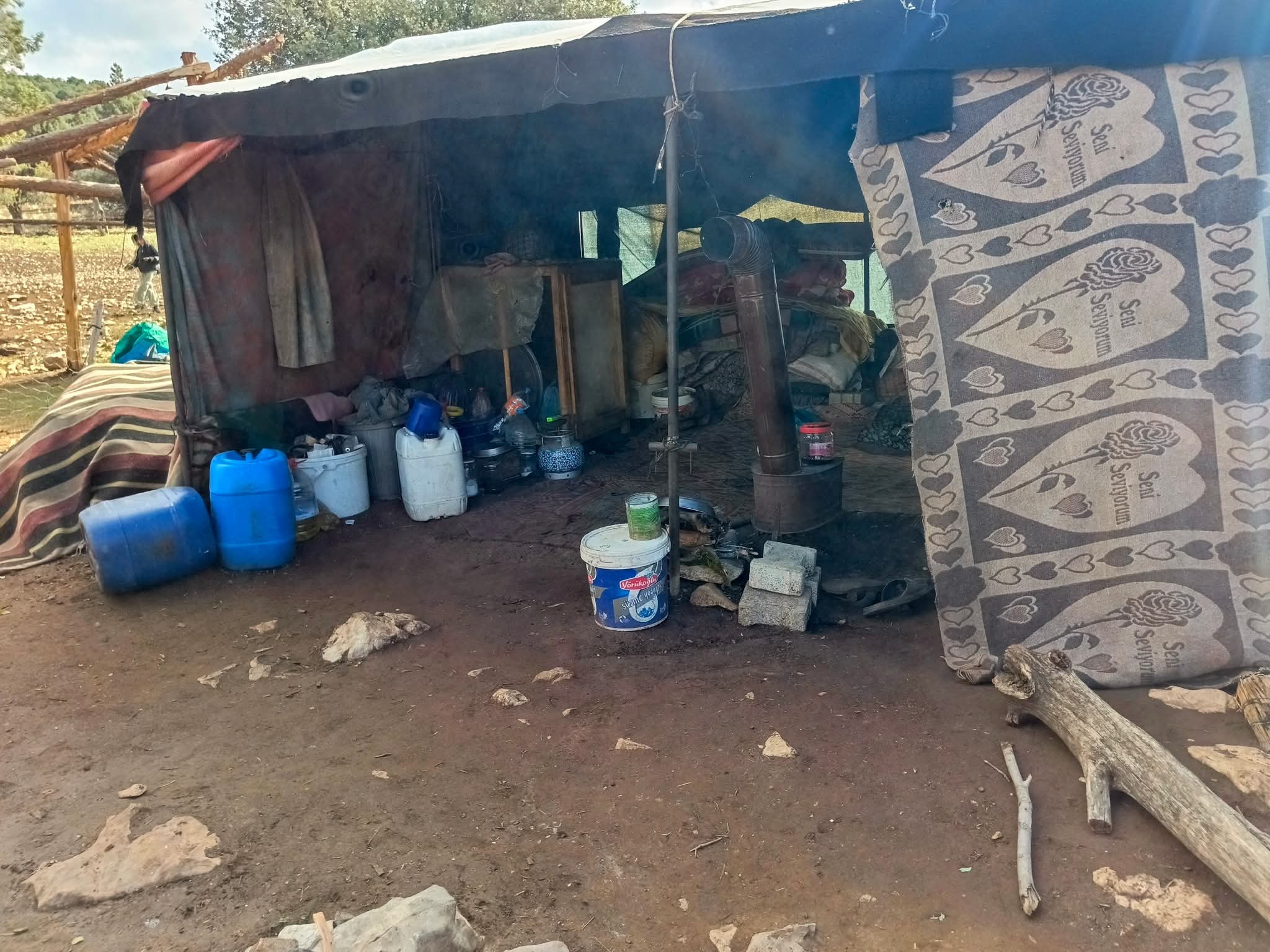 Çam Dağı Doğa Ve Anayasal Haklar Çerçevesinde Korunuyor9