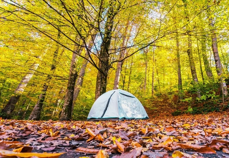 Doğanın Kalbinde Sonbahar Renkleri Yedigöller4