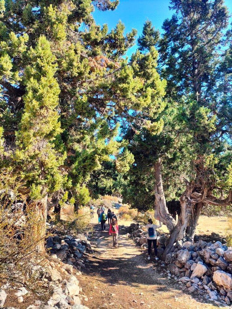 Elmalı Yapraklı Milyas Yolu’nda Doğa Ve Tarih Buluşuyor14