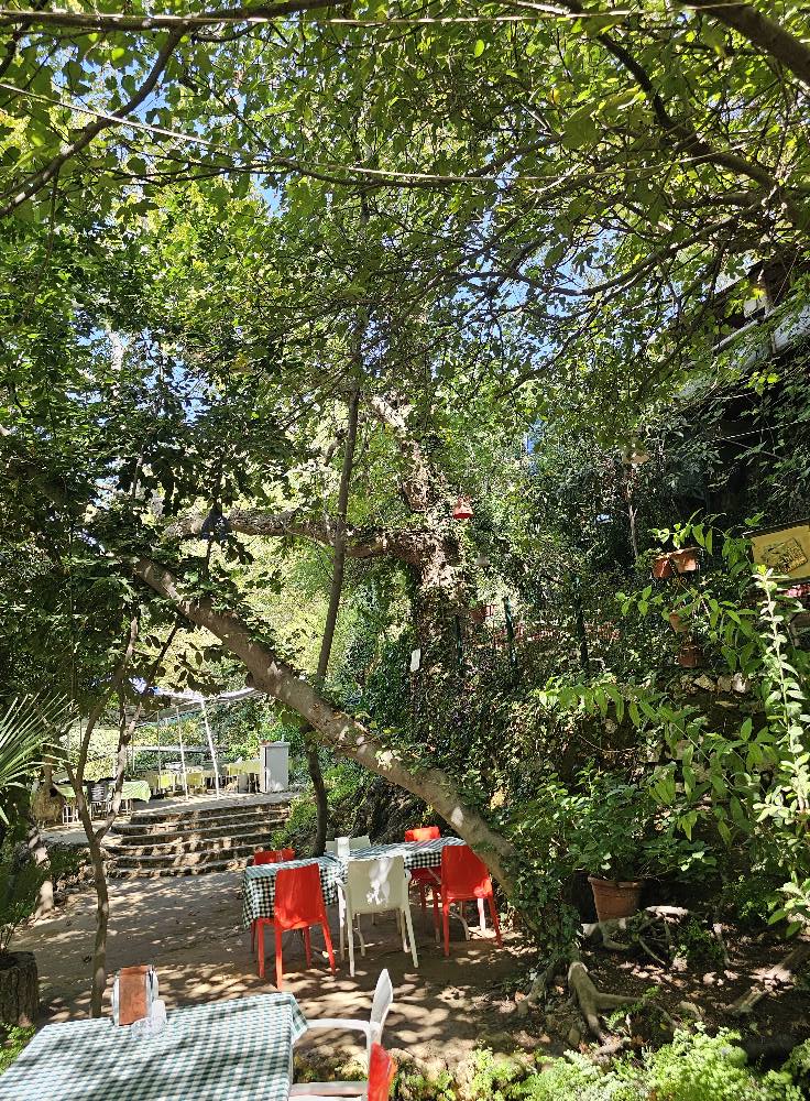 Harbiye Şelalesi’nde Doğa Ve Serinlik Bir Arada2